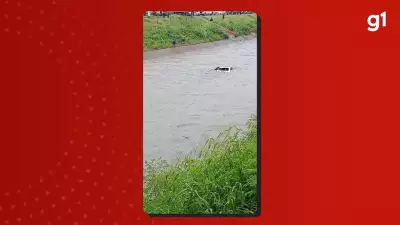 Jovem de 18 anos fica preso em carro que afundou em igarapé em Manaus