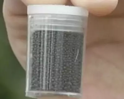 Juiz de Fora proíbe venda do 'chumbinho' com multas de até R$ 5 mil