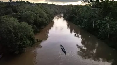 Menina de 2 anos morre atacada por piranhas após cair em rio no Amazonas