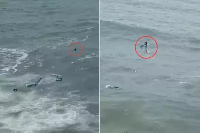 Piloto de parapente se acidenta no mar de Guarujá e é socorrido por surfistas