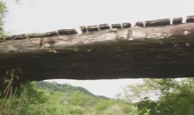 Ponte em risco de queda prejudica produtores rurais em Corumbataí até 2026