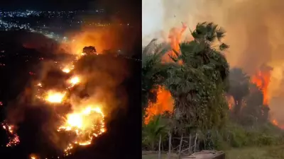 Queimadas no Piauí disparam 48% em 2025, com 3.250 incêndios florestais registrados
