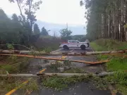 20 eucaliptos caem em rodovia de Botucatu durante chuva intensa