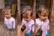 Bebê de 1 ano e 5 meses para de chorar ao tomar tereré; vídeo viraliza