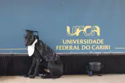 Cães mascotes 'colam grau' na UFCA e viralizam com beca e capelo