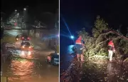 Chuvas intensas causam alagamentos e queda de árvore no Noroeste Fluminense