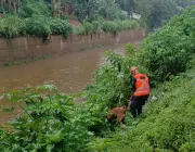 Cão Taurus é acionado em buscas por servidor desaparecido após chuva em Petrópolis