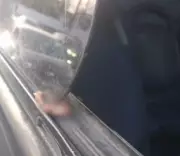 Dedo humano é encontrado preso em janela de ônibus em Olinda