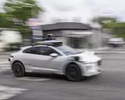 Gato 'prefeito' morto por robô-táxi da Waymo gera revolta em São Francisco