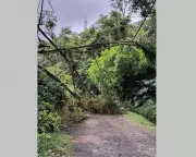 Petrópolis: 1523 clientes sem energia após ventos e chuvas, Enel desobedece Justiça
