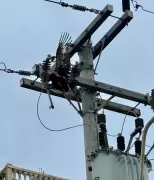 Urubu causa curto-circuito e deixa cabo energizado em Arraial do Cabo