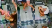 Vídeo revela prisão de suspeito de feminicídio após queda de 10º andar em SP