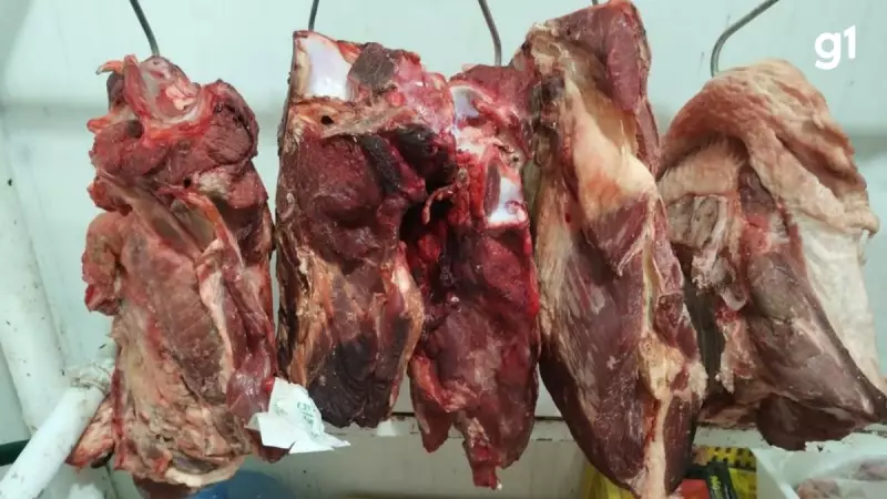 Operação do MPRS apreende 3 toneladas de produtos vencidos e com validade remarcada em supermercados do Litoral Norte gaúcho