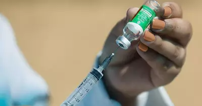 3 vírus que podem causar surtos inesperados em 2026, segundo especialista