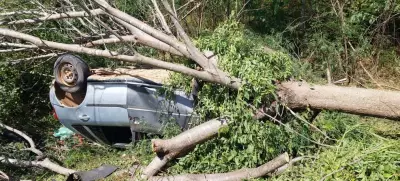 Acidente na MGC-342: 5 feridos após carro capotar e bater em árvore