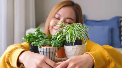 Astrologia e plantas: descubra a ideal para seu signo segundo especialista