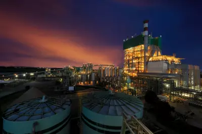 Bracell Oferece Seis Vagas de Emprego no Setor Florestal na Bahia