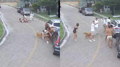 Briga generalizada de jogadores do Fortaleza: mordida no nariz, cadeirada e xenofobia