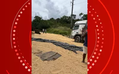 Carreta com soja tomba e causa congestionamento na BR-324 na Bahia