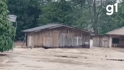 Casa é arrastada por enxurrada em Nova União, MT, após tempestade intensa