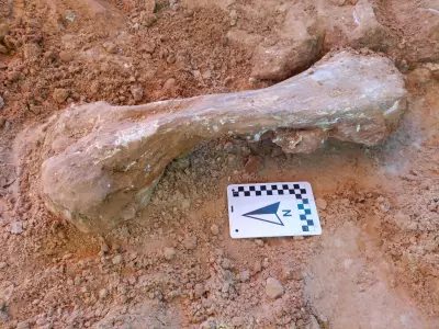 Chapada dos Guimarães: fósseis revelam mar e dinossauros há milhões de anos