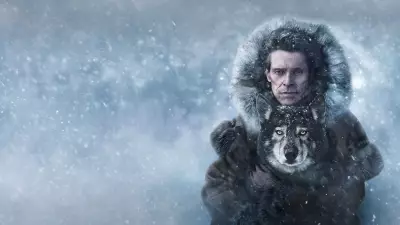 Cid Pitombo: Proteína animal e respeito aos 'Togos' que nos servem