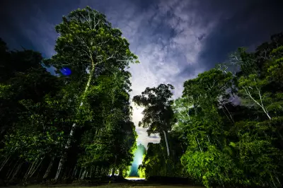 Desmatamento cai 9% em 2025, mas Amazônia e Cerrado seguem sob forte pressão