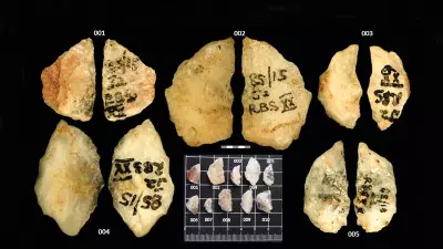 Flechas envenenadas de 60 mil anos revelam primeiras 'guerras químicas' humanas