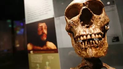 Fósseis de 770 mil anos no Marrocos podem ser raiz da linhagem humana
