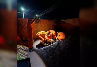 Jovens caem em poço de 6 metros em Gurupi: amigo pula para salvar e ambos são resgatados