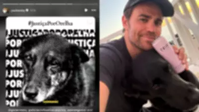 Lei de maus-tratos a animais: punições e caso Orelha em Florianópolis