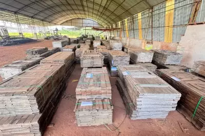 Leilão da Semas vende motores e madeira em Belém no dia 30 de janeiro