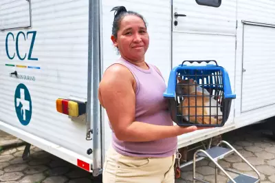 Manaus abre vagas para castração de cães e gatos no CCZ a partir desta quinta