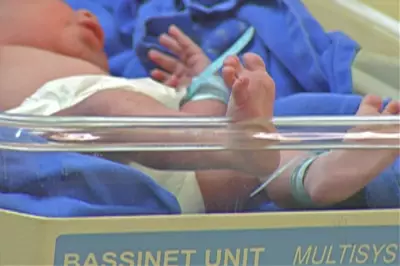 Maternidade de Mogi das Cruzes tem entrega prevista para março, anuncia Tarcísio