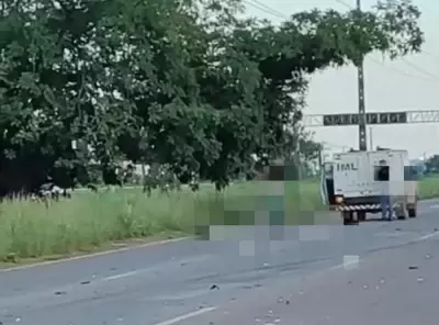 Motorista preso por matar casal na BR-010 recebe liberdade provisória