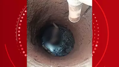 Mulher cai em fossa de 4 metros ao colher limões em Marialva