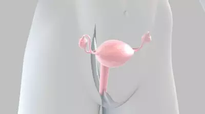 Nova terapia para câncer de ovário aprovada no Brasil traz esperança após 10 anos