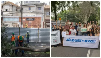 Obra de túneis na Vila Mariana: apenas 1 proposta e protestos contra corte de árvores