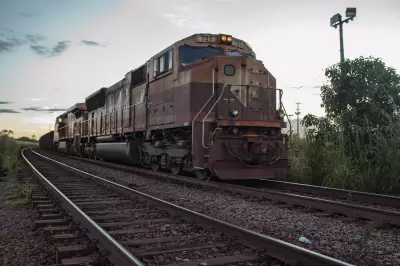 Randoncorp fecha contrato de R$ 770 milhões para vagões ferroviários