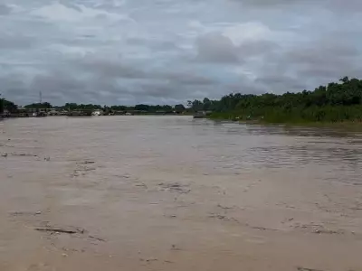 Rio Envira transborda novamente em Feijó, AC, e afeta 150 famílias