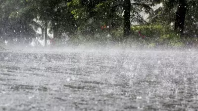 SP em alerta: frente fria trará chuva intensa e risco de transtornos em janeiro de 2026