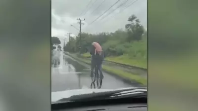 Suíno ciclista: homem carrega porco vivo nas costas em Criciúma