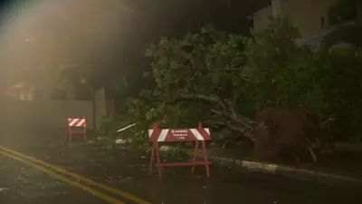 Tempestade em Campinas no Ano Novo 2026 derruba árvores e alaga hospital
