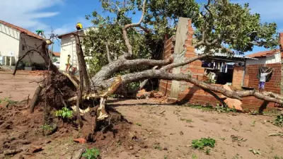 Temporal atinge 200 casas em Palmas: prefeitura decreta emergência no Taquari