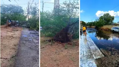 Temporal com ventos fortes causa estragos em Jatobá, no Sertão