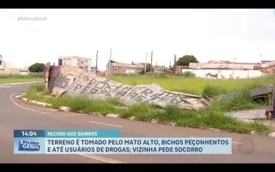 Terreno abandonado em Franca vira foco de animais peçonhentos e drogas