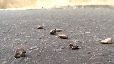 Três assassinatos a tiros marcam virada do ano no Vale do Paraíba