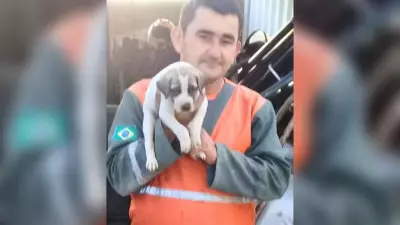 Vigilante de 50 anos é assassinado em obra de escola municipal em Sobral