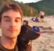 É #FAKE que vídeo viral de cachorro na praia seja do cão Orelha, morto em SC