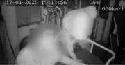 Assalto a ônibus em Nova Friburgo: motorista reage e passageiro ajuda a prender suspeito